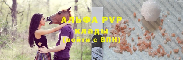 стаф Богородицк