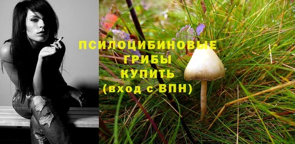 2c-b Богородск