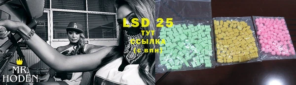 стаф Богородицк