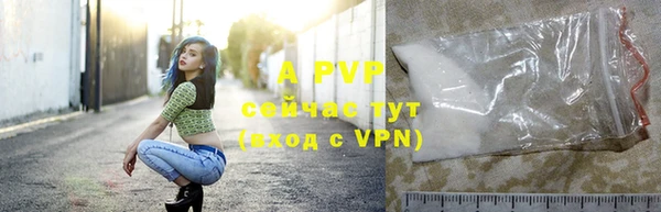 стаф Богородицк