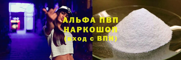 стаф Богородицк