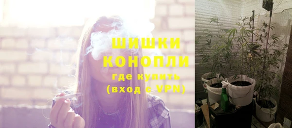 хмурый Богданович