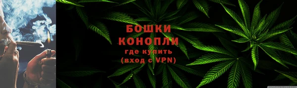 стаф Богородицк