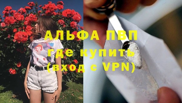 стаф Богородицк