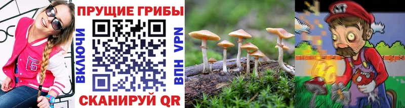 Галлюциногенные грибы Magic Shrooms  Дно 
